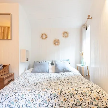Au Petit Sommet 2 - Centre 35m2
